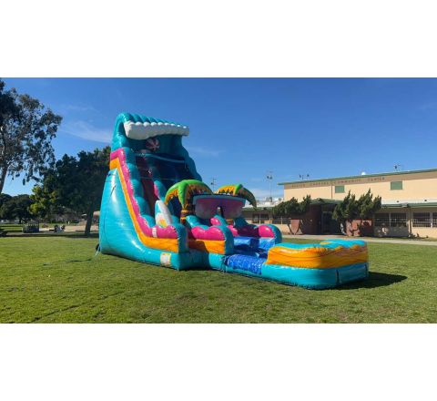 Dual lane beach Life water slide (sku W317-1)